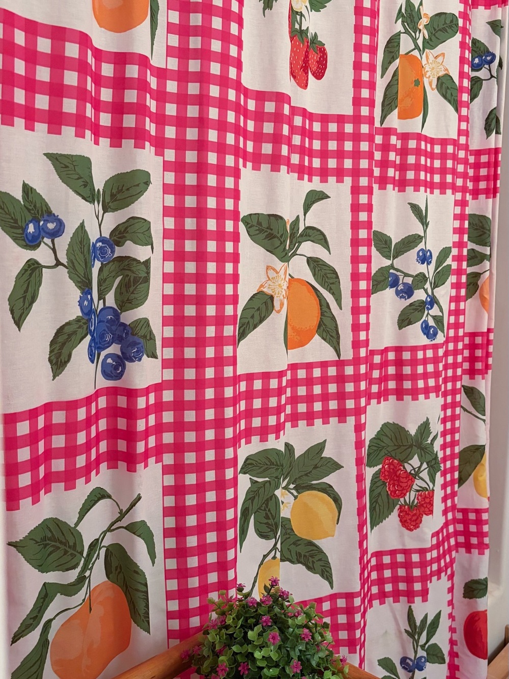 Gingham Fruit Pattern Shower Curtain